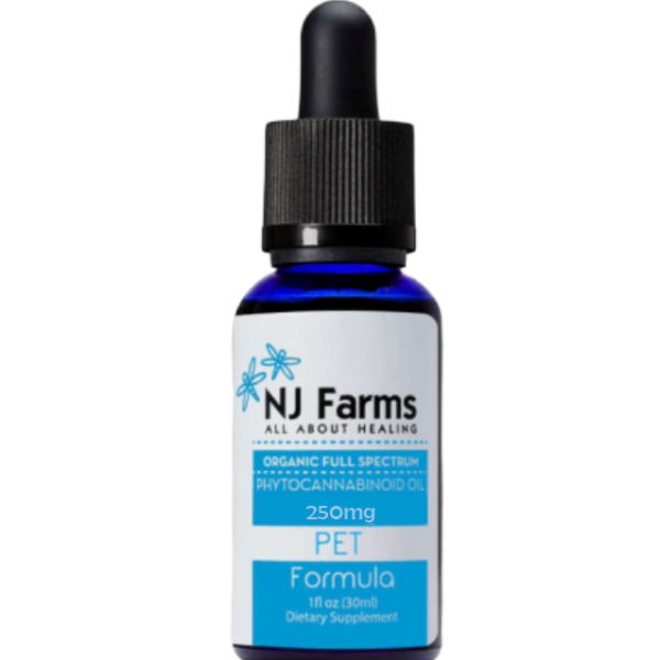 CBD Oil for Pets