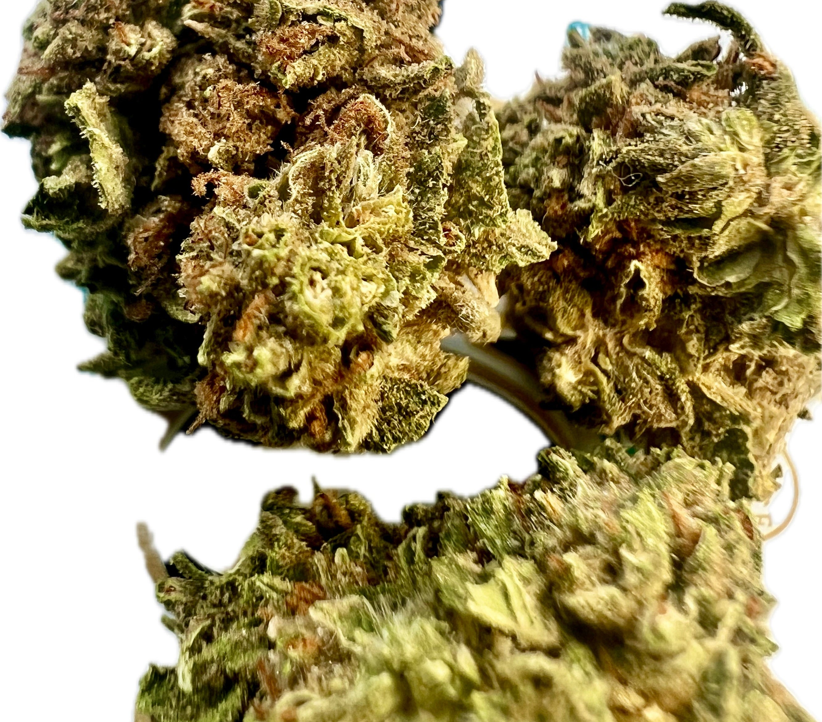 Ripkitty Gelato #33 THCA Hemp Flowers