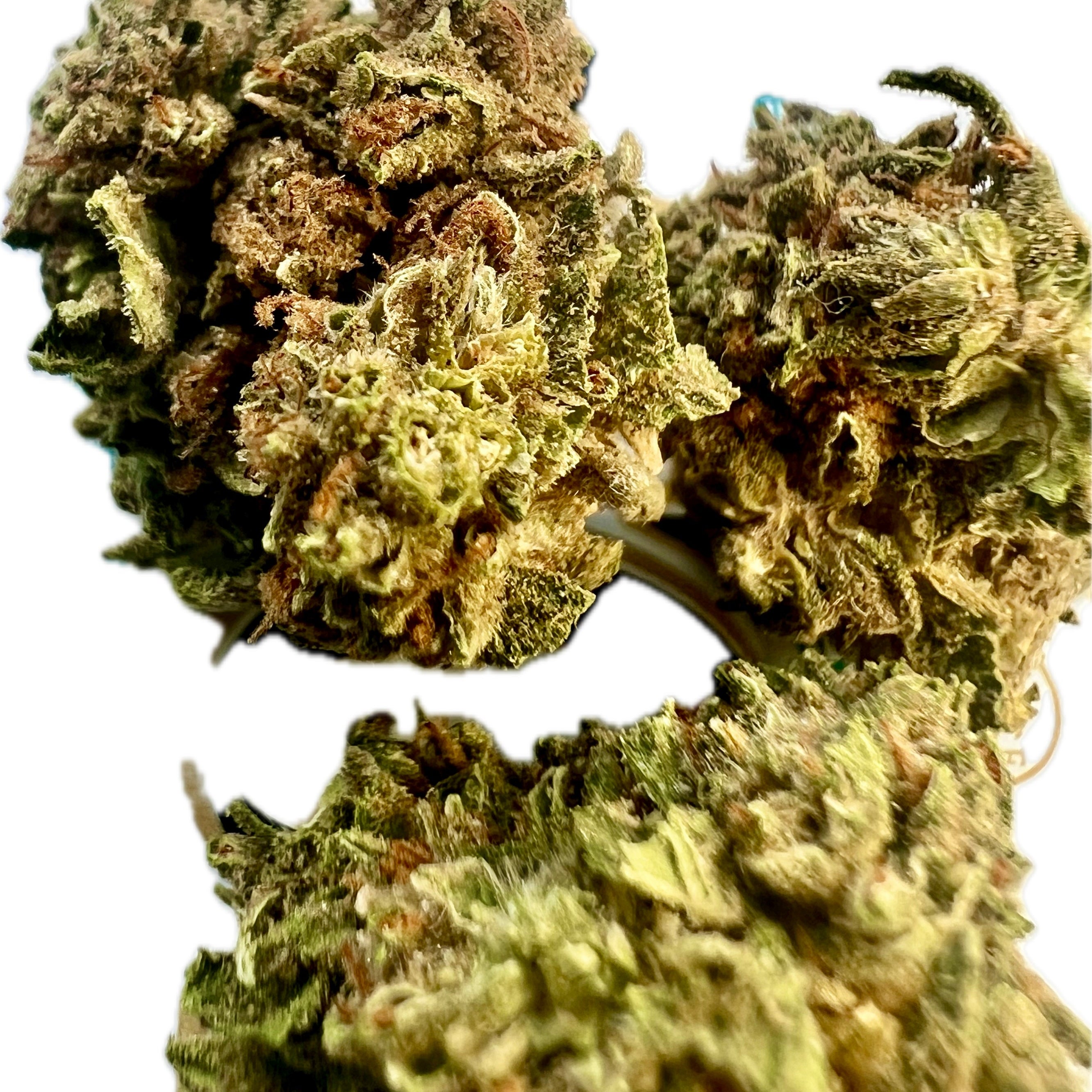 Ripkitty Gelato #33 THCA Hemp Flowers