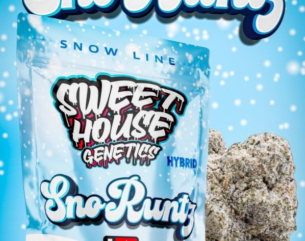 THCA FLOWER - SWEET HOUSE GENETICS - SNORUNTZ